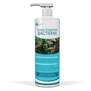 Pond Starter Bacteria – 16oz