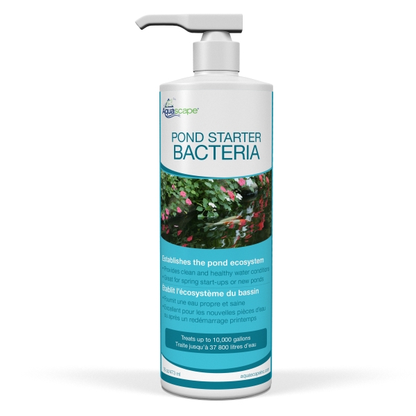 Pond Starter Bacteria - 16oz