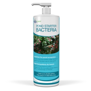 Pond Starter Bacteria – 32oz