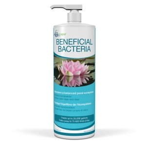 Beneficial Bacteria – 32oz