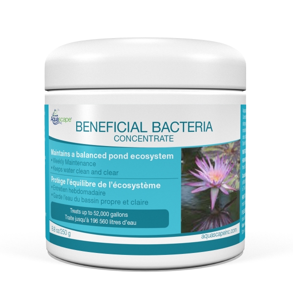 Beneficial Bacteria Concentrate - 8.8oz