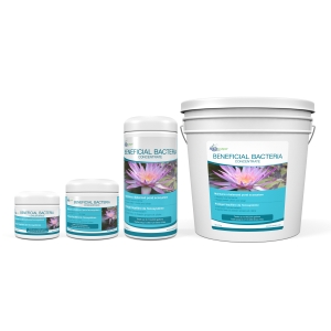 Beneficial Bacteria Concentrate – 7lb