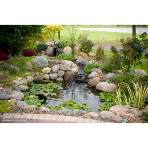 DIY Backyard Pond Kit 8′ X 11′